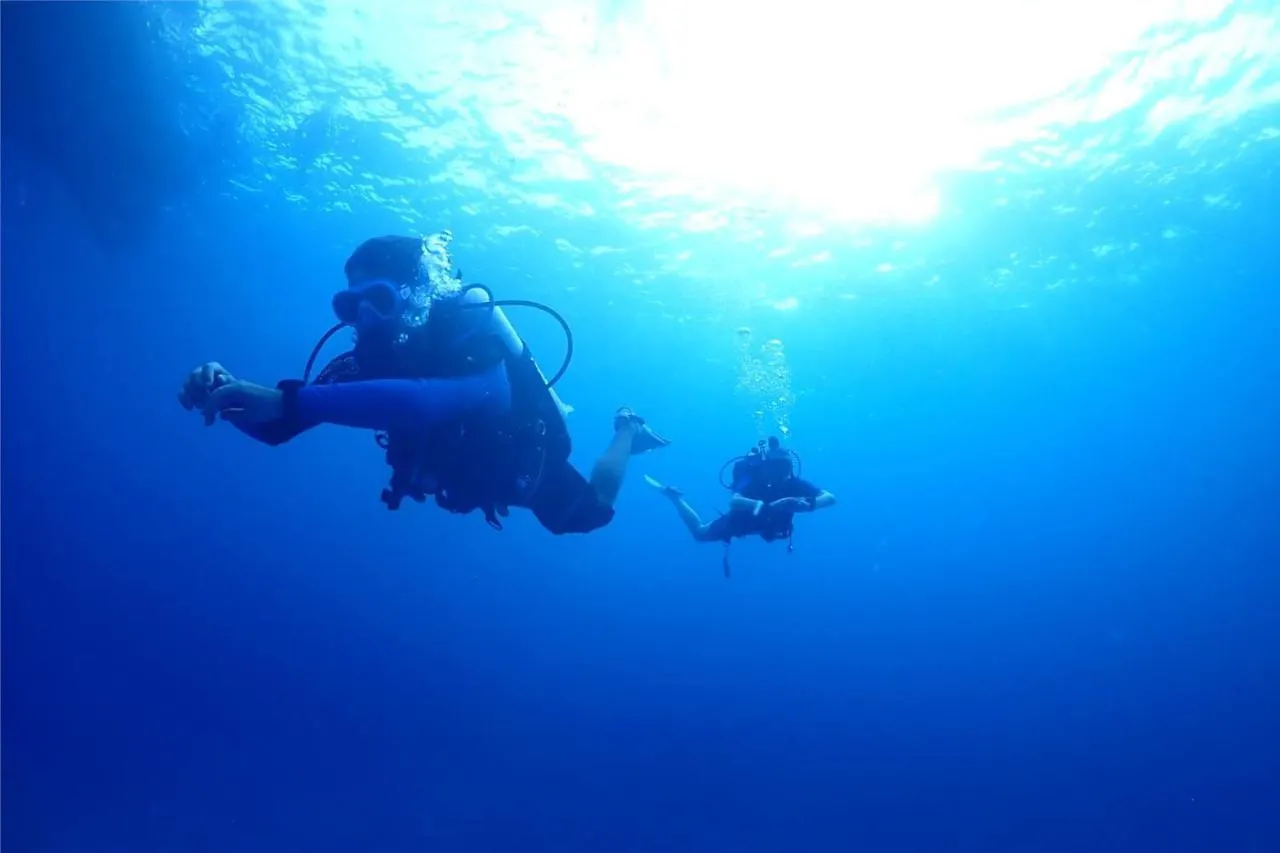 Escape Divers - Jungle Hostel And Dive Centre Koh Tao 0*,  Thailand