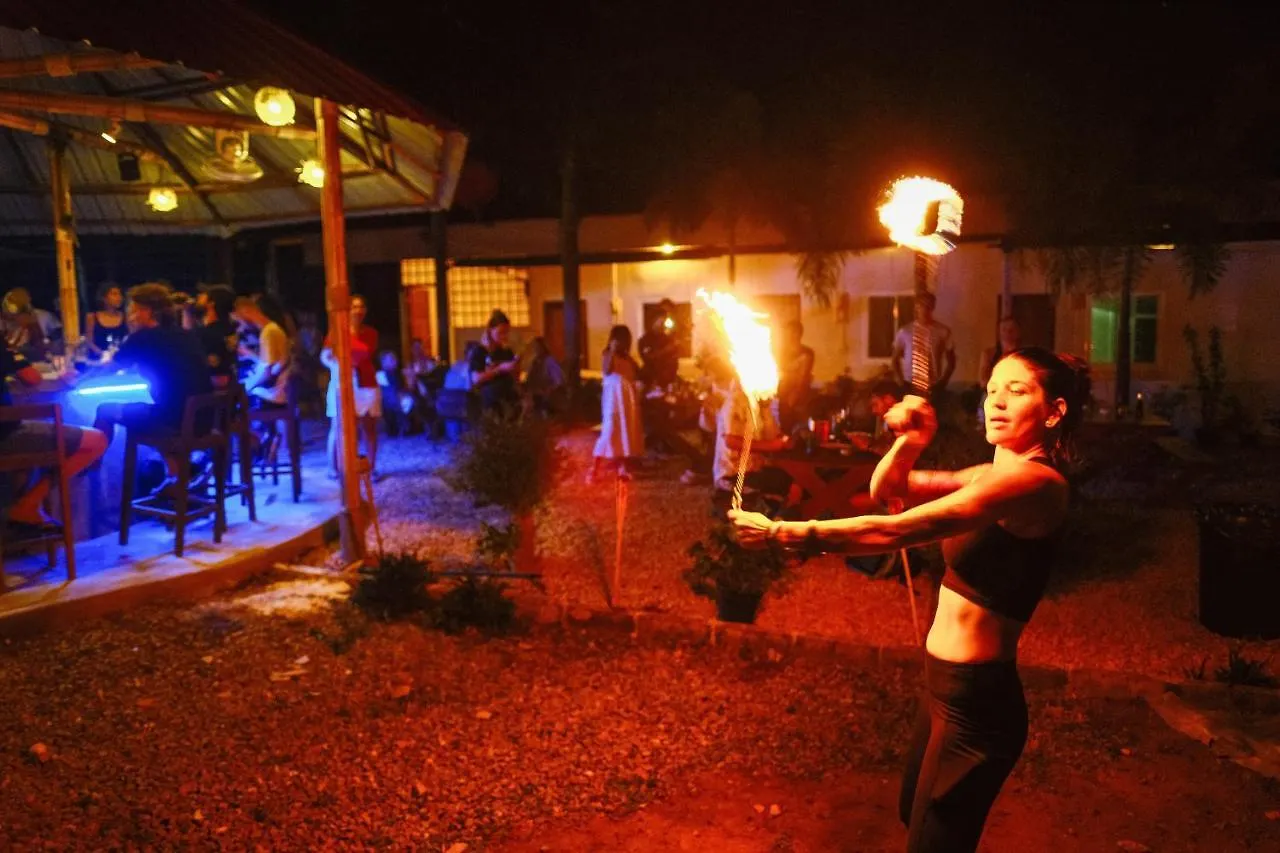 קו טאו Escape Divers - Jungle Hostel And Dive Centre תאילנד